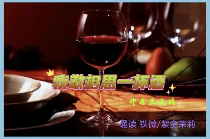 《我敬相思一杯酒》作者:王庆福/ 主播:紫金茉莉/铁微 /主编:胡琴