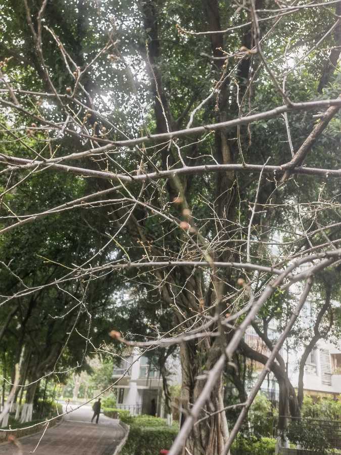 「诗词四首」三九寒霜冻荒凉（图3）