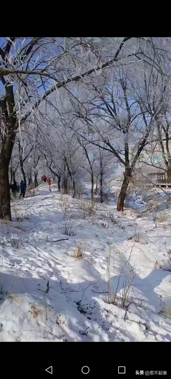 【5779】张荣岐诗作《盼降雪》（图2）