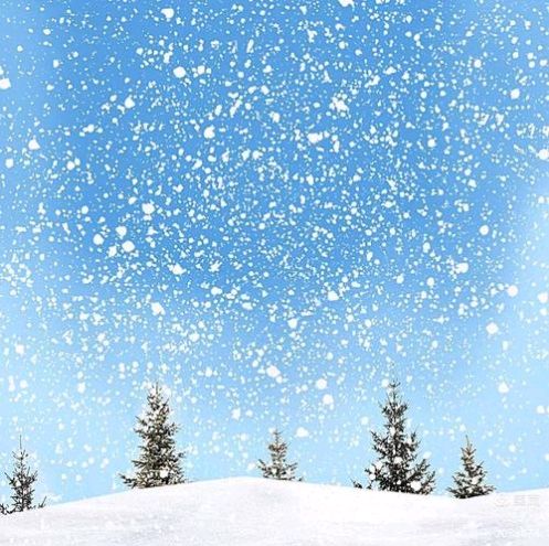 期待一场雪