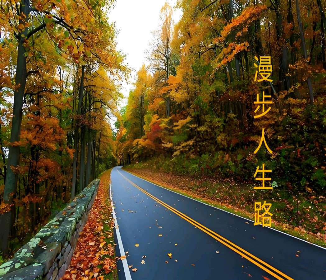 欣赏郑金波老师作品·《想梦人生》（图3）