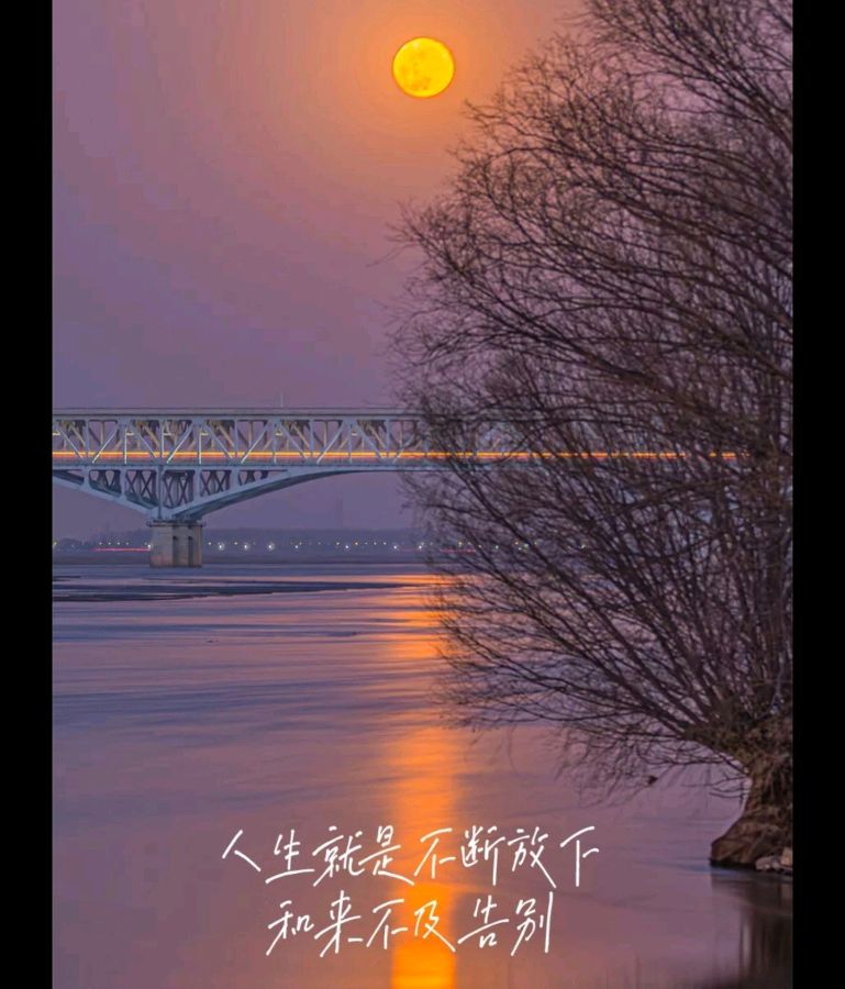 陕西张志民《青山遮不住，岁月又一年》（图8）