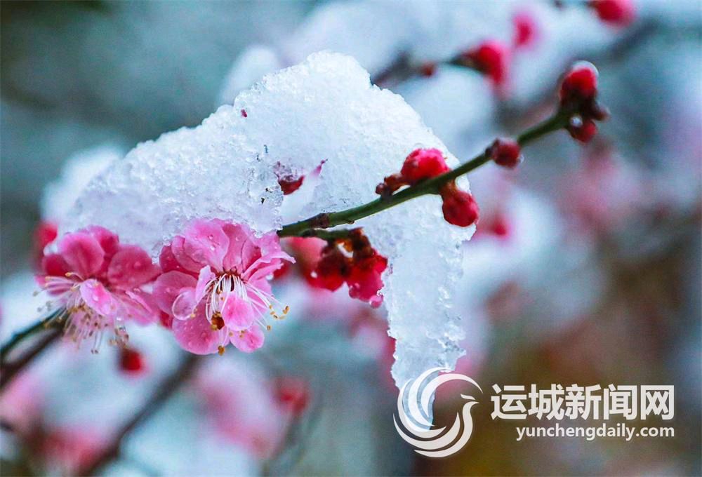 年到问年（图3）