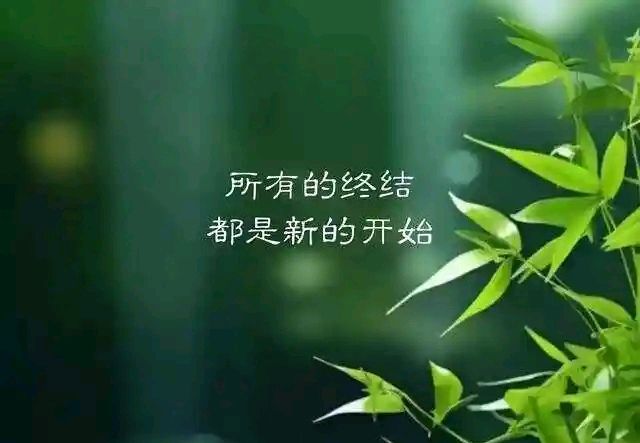 无题二首～诗||李耀文（图15）