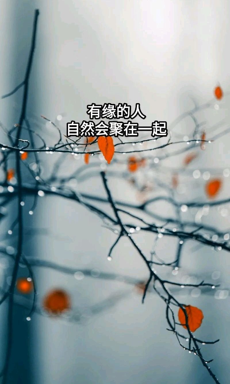无题二首～诗||李耀文（图16）