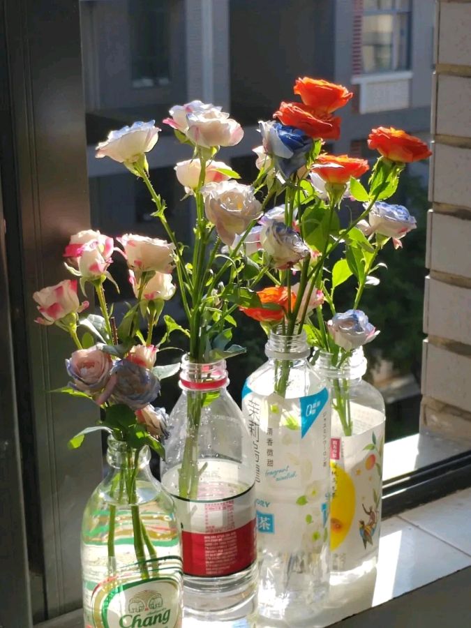 【春天的召唤征文】作者/许方红/主播/李辉/主编/孙明慧（图5）
