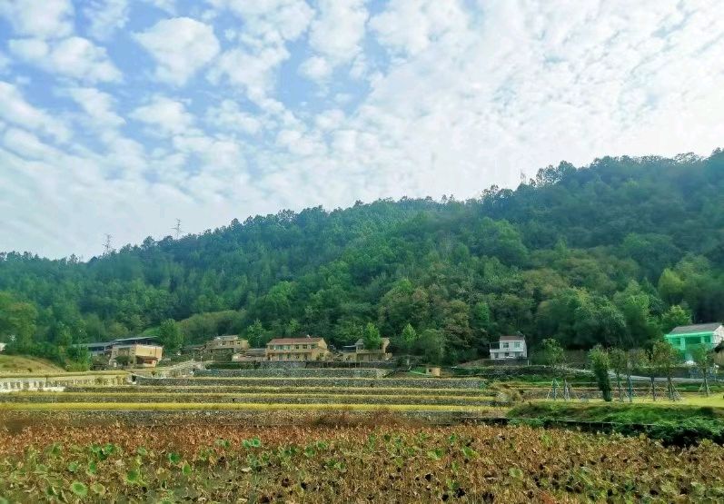 【荣耀中国】五绝 四季景文/南山翁(图5)