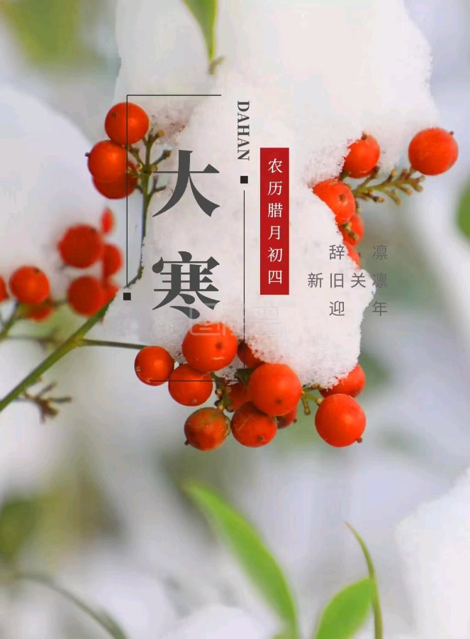 【国学雅韵社】综合刊第51期(图7)