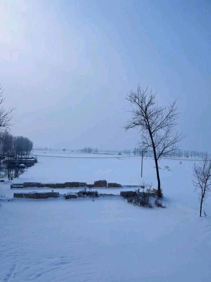 陕西母明义《期待一场雪》（图7）