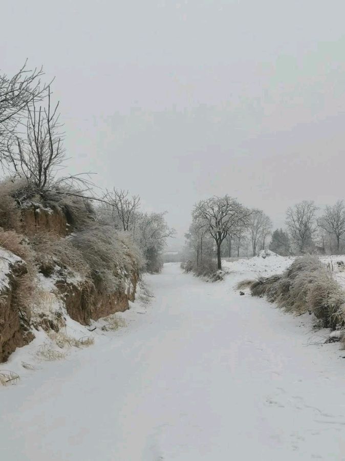 陕西母明义《期待一场雪》（图11）