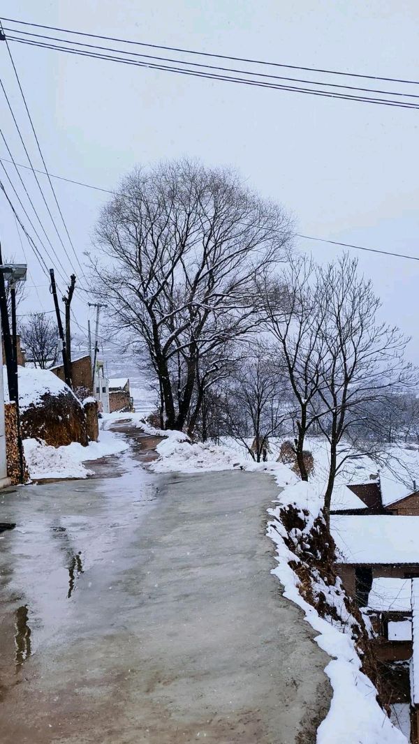 陕西母明义《期待一场雪》（图10）