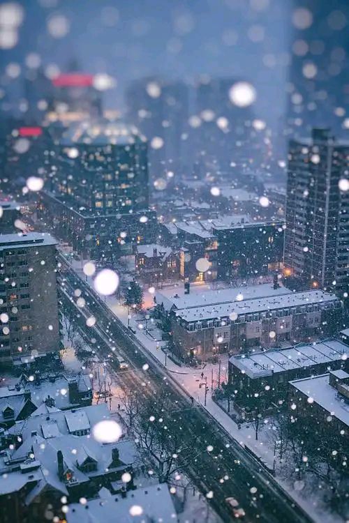 陕西作家刘志耀《长安雪景》诗歌专辑（图10）