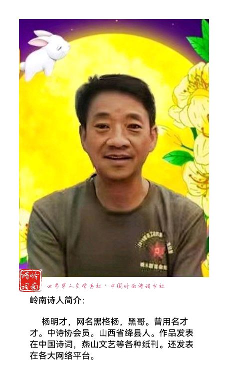 同步张慧老师诗赠华晓诗社社长苍狼26首【第3027期】粤港澳头条（图21）