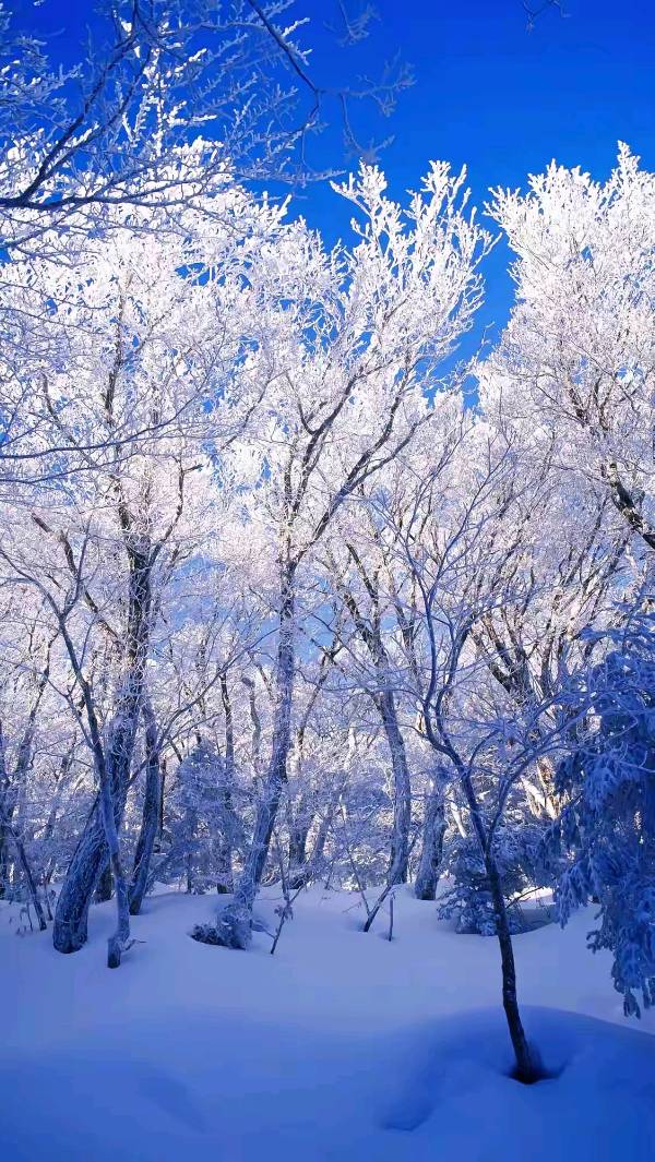 【5976】姜金勇诗作《五九迎雪》（图3）