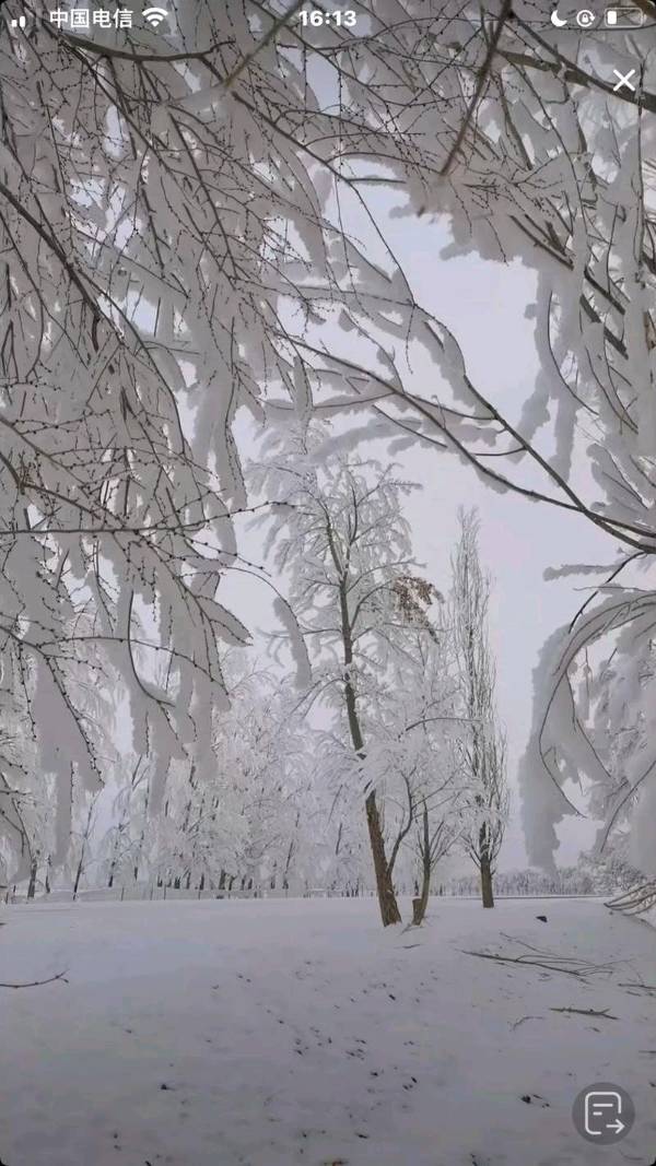 【5980】王有辉诗作《雪》（图4）