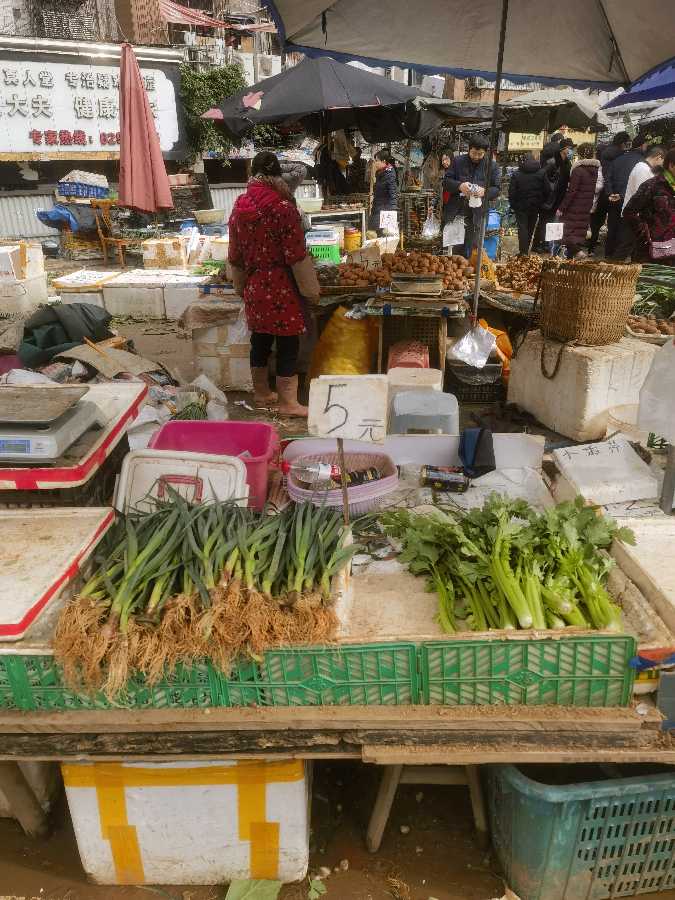 「市场打望」要过年了,赶最后一次南坪场(图20)