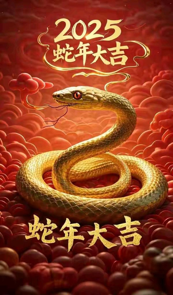 【豆蔻诗社】《贺新春》丰茂春作于甲辰（图4）