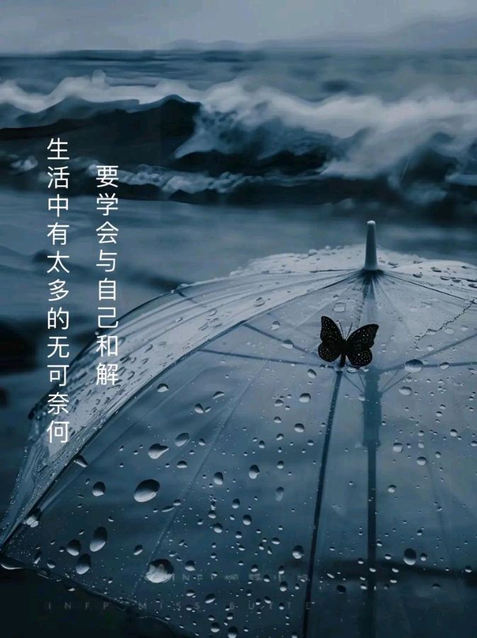《临屏写诗·握不住的沙》2025年1月临屏诗‖作者:华人诗者联盟诗友【华人诗者联盟文化传媒】（图24）