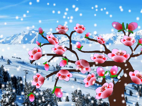 《汤林风光》总第三十六期——春节专辑“文彩墨芳庆新年”(图9)