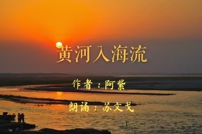 赤兔马倾情朗诵阿紫的作品《黄河入海流》（图2）