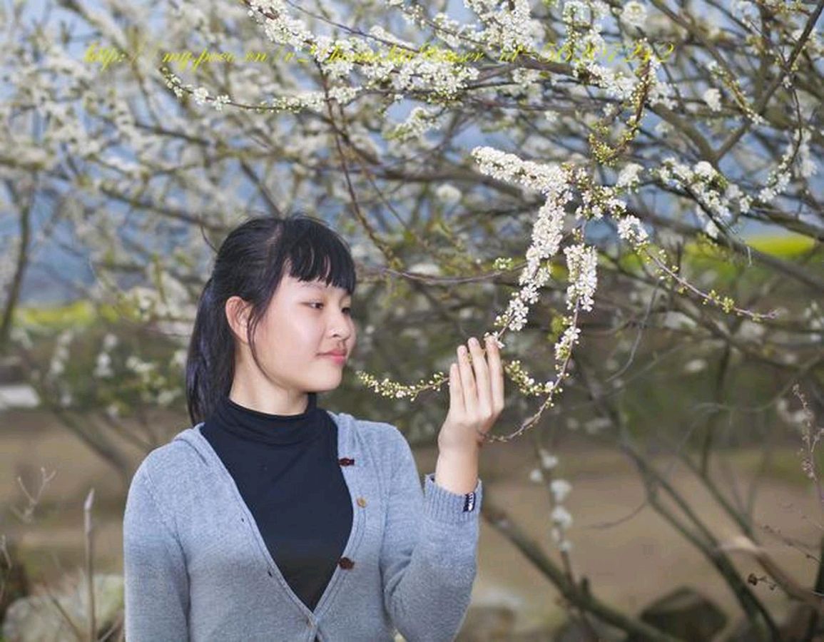 立春赞歌文/北极星（图4）