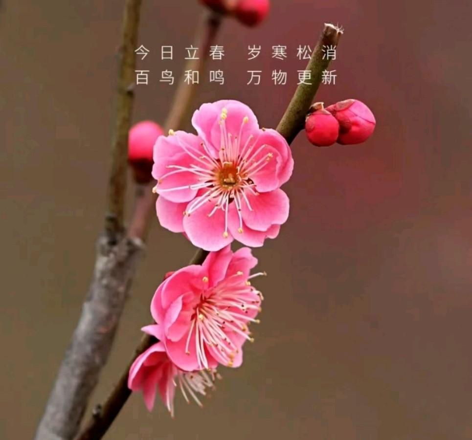 故 人