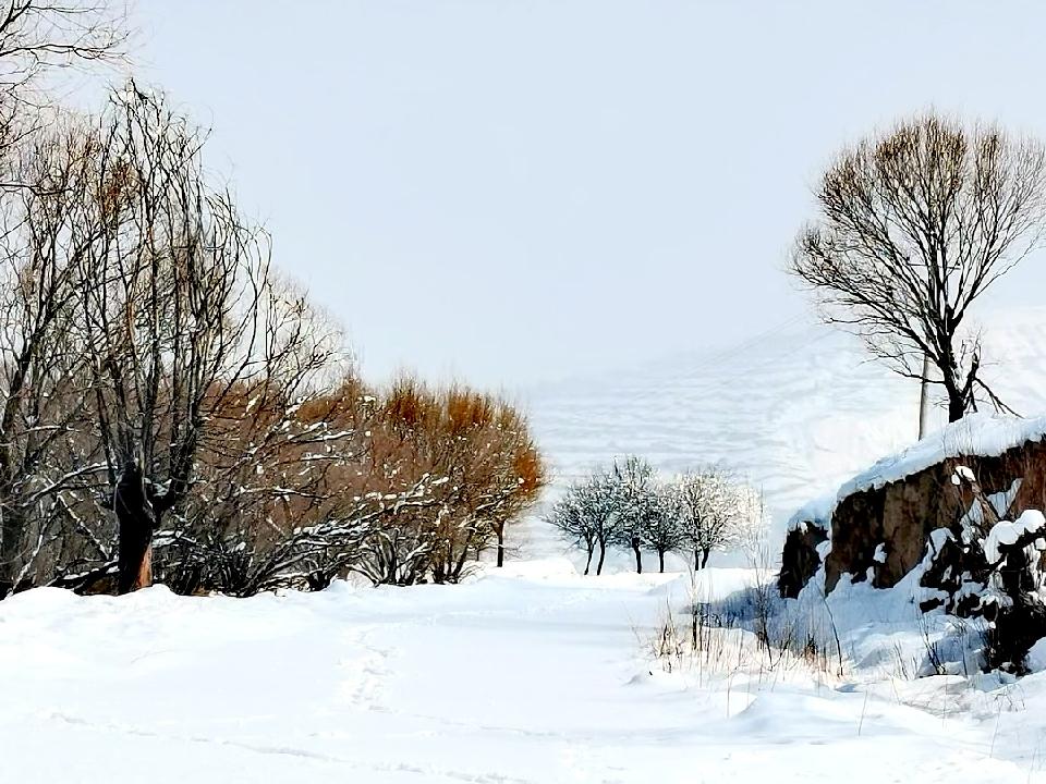 【湖城文艺】《我的故乡下雪了》（诗歌）（图2）