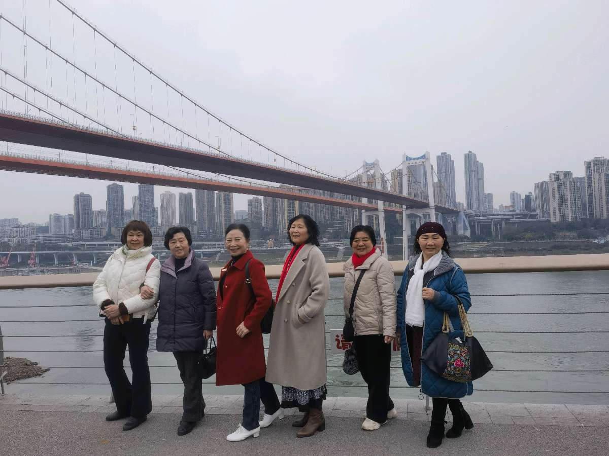 「散文」南滨路的美人梅开了(图3)