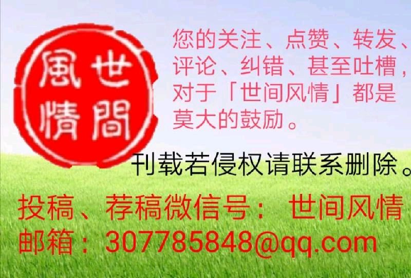 央视第十届《中华民族春晚》·张帆演唱《画卷》总导演韩树、作词：阿华、作曲：许福明、演唱：张帆‖世间风情（图12）