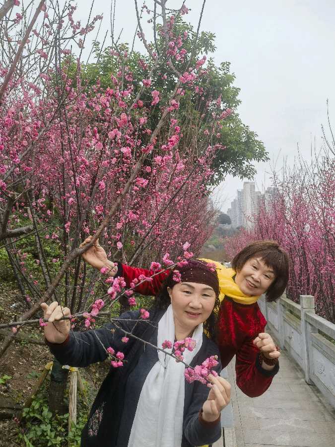 「散文诗」走进红梅旁（图4）