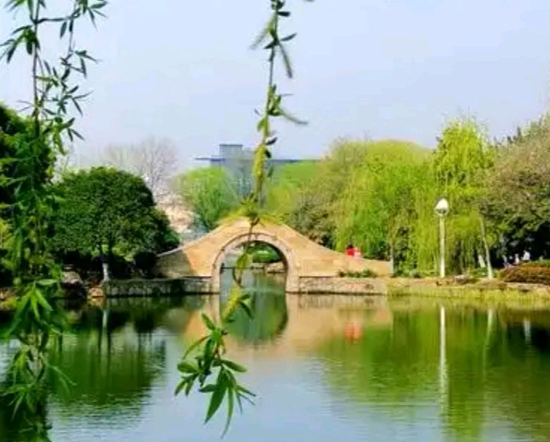 794曹长泽诗选：春 景（图4）