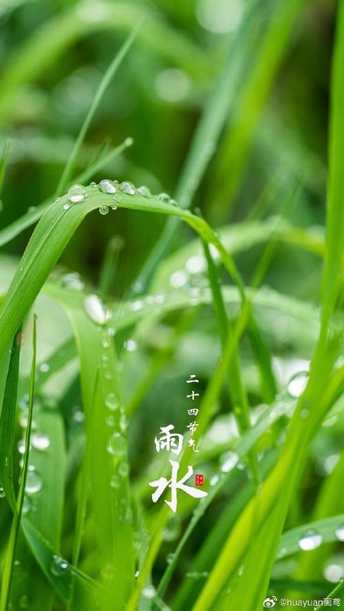 秋林春之歌四首（澳大利亚）海外诗歌作品社【世界诗人名人展】10539期（图5）