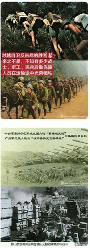高楠朗诵《死吻》文：周峰【金话筒朗诵团】世界诗人名人展10551期（图12）