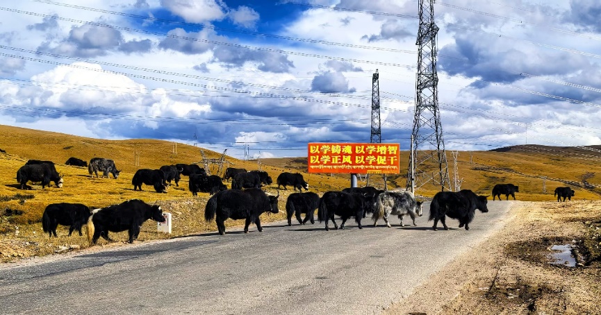 西藏游记(二十一至二十五篇):作者||胡继禾|海外头条(图11)