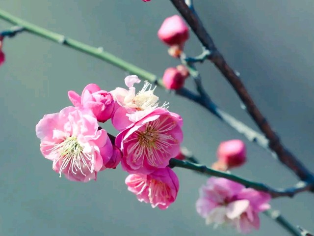 【神州源流诗苑】第1309期佳词周刊(图8)