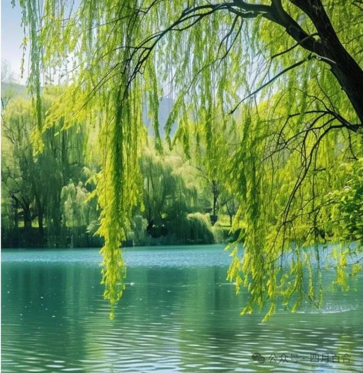 《春来遐想》 詹文宏（图3）