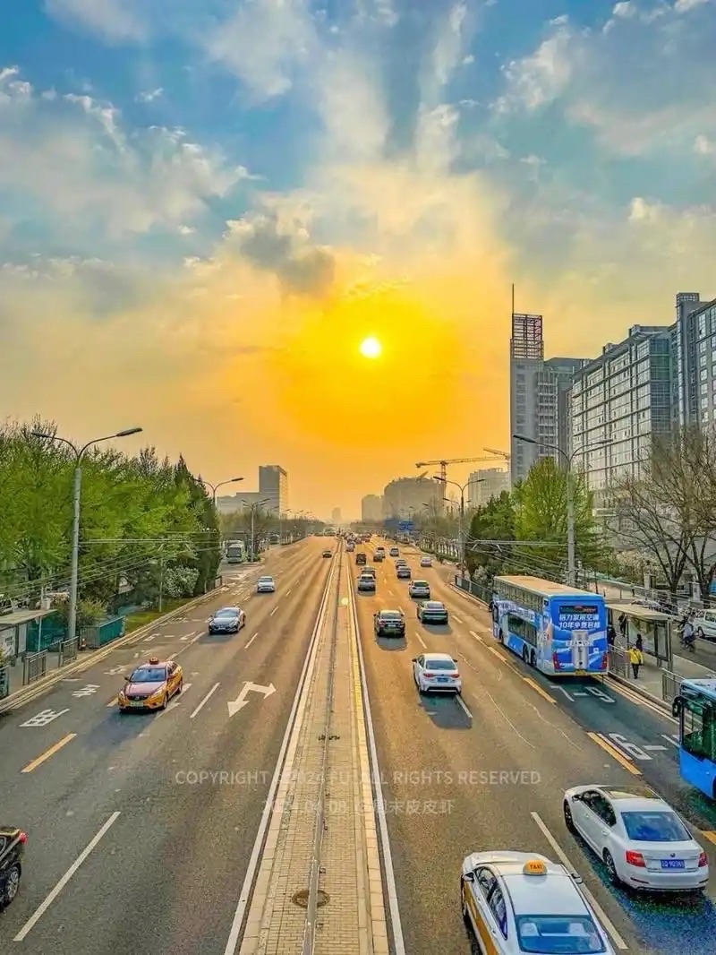 杨拓夫：《国富村的早晨》海外头条（图5）