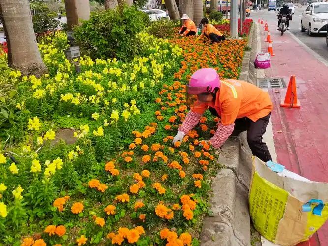 欣赏徐章文老师现代诗·《花的保姆》（图3）