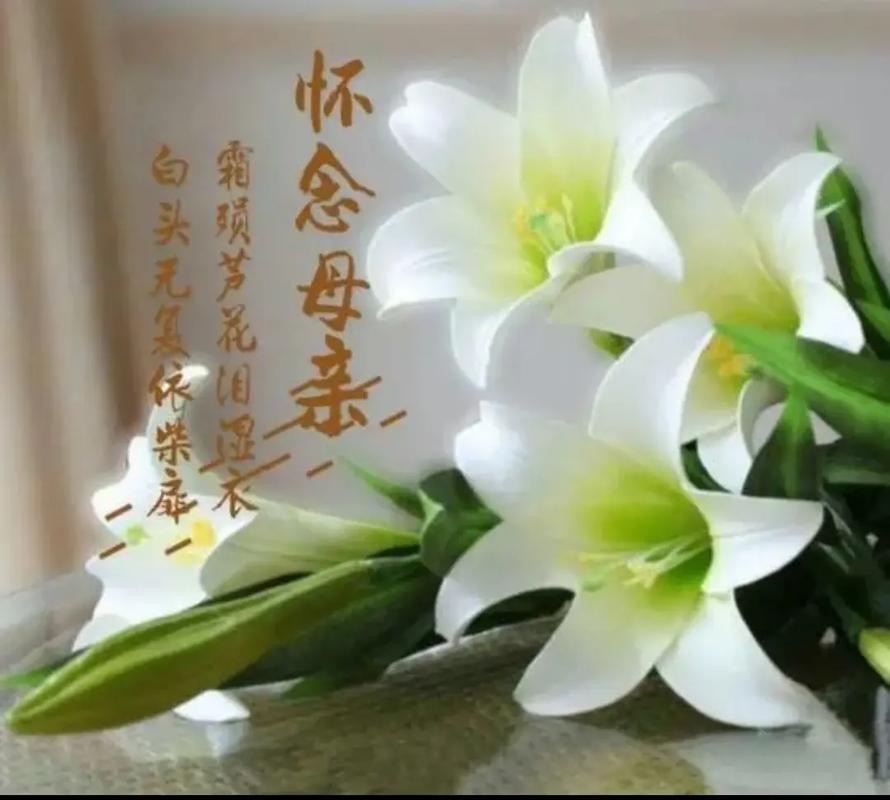 【新诗大观】思念母亲||文/张道发（图2）