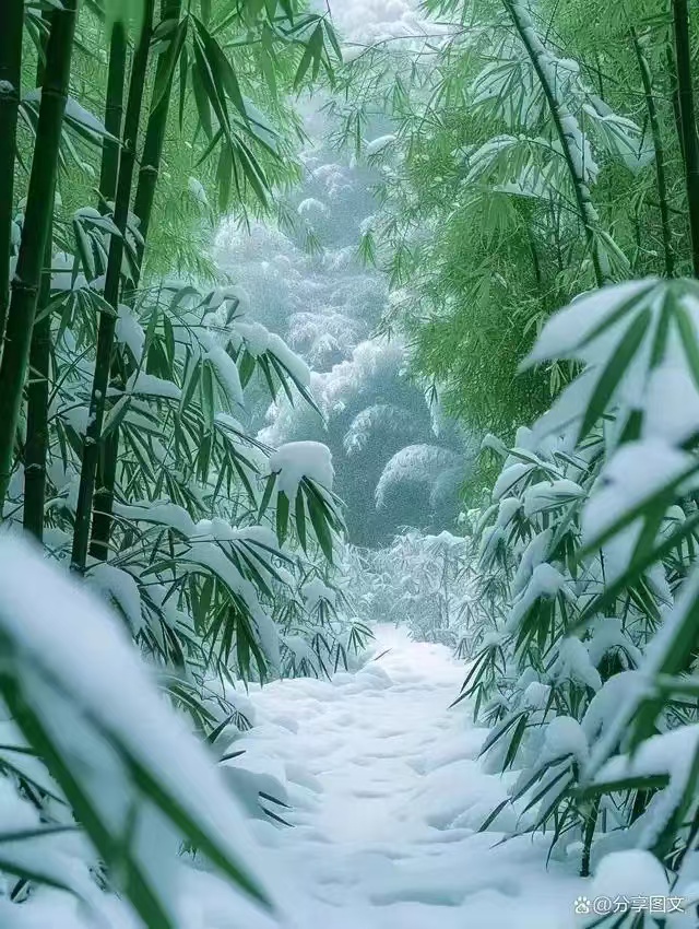 【荣耀中国】二月雪 文╱芬（图3）