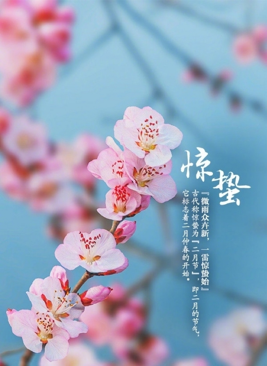 东方书剑的《绮罗香・微雨惊蛰》