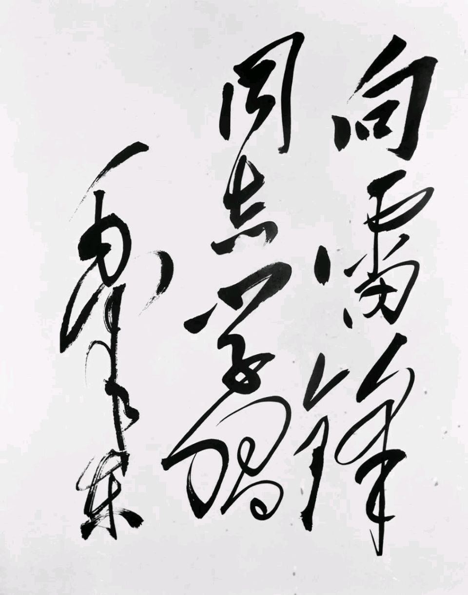 诉衷情令*毛主席为雷锋同志题词六十二周年寄怀金夜（兰州）（图4）