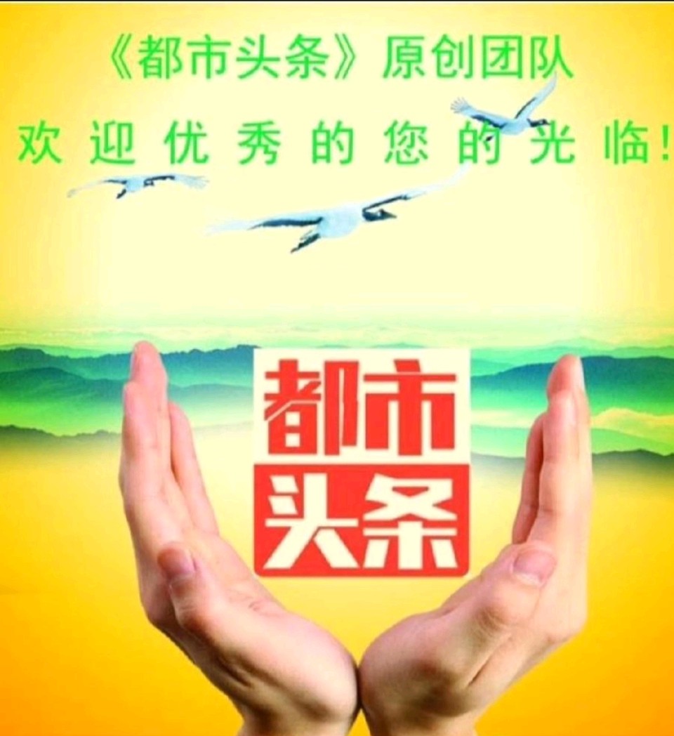 潍环院图书馆掠影——于钦江（山东昌邑）（图8）