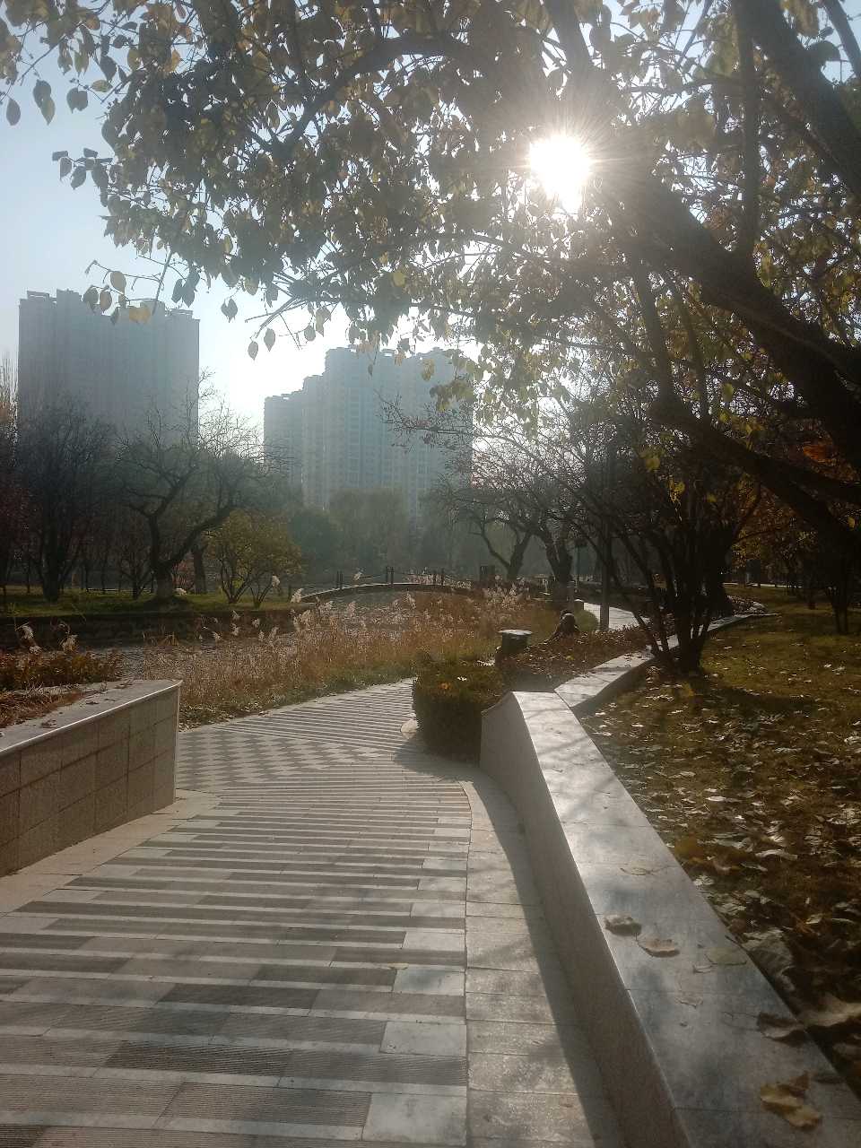 《午餐念闪》文/巨有斌