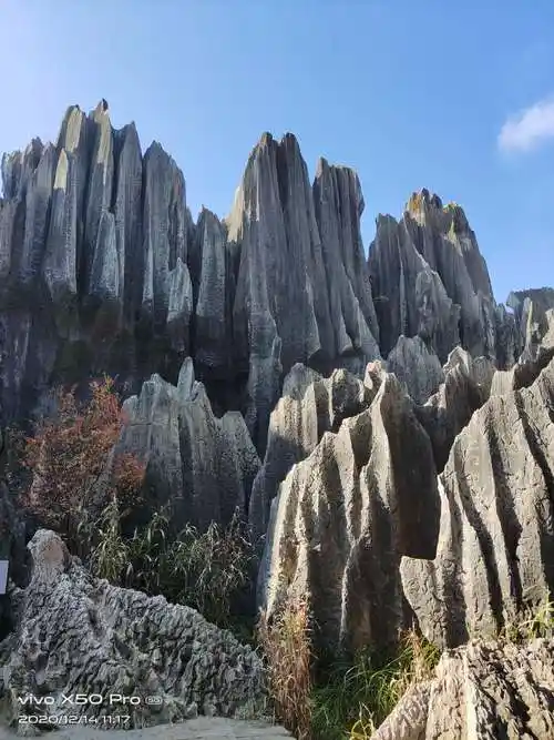 春风拂康华 巾帼踏春游（图9）