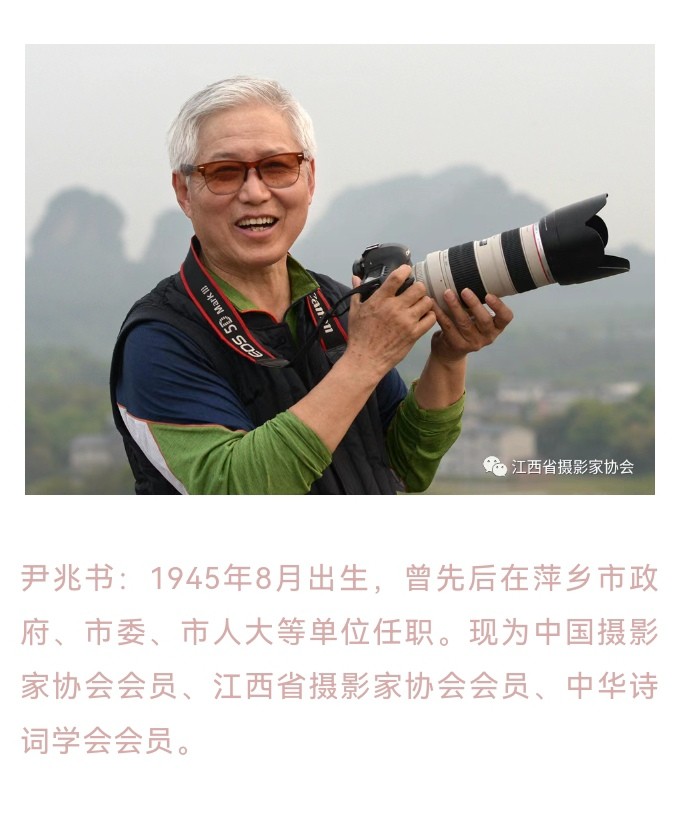 十三载追光逐影，古稀年硕果枝头——尹兆书摄影作品欣赏
