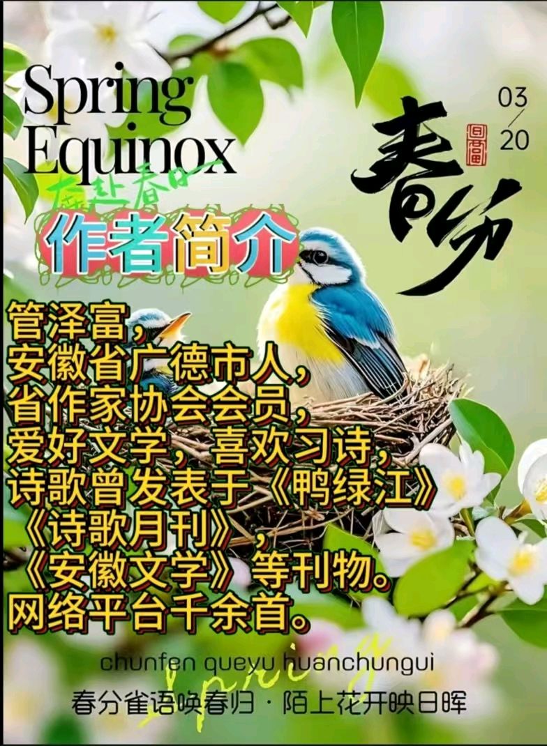 《金鸡笼之声》作者：管泽富 [中国现代诗歌文化传媒]（图8）