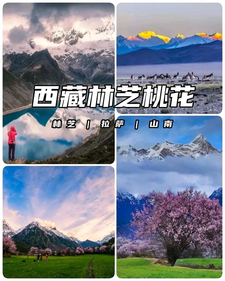 空恋 作者 金罡 朗诵 妙琪