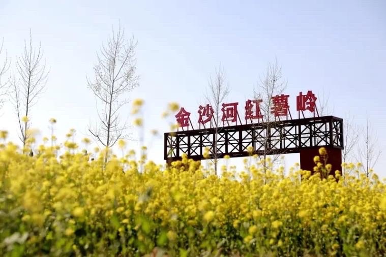 【新诗大观】金沙河的沙子是真黄金||文/李月芳（图2）