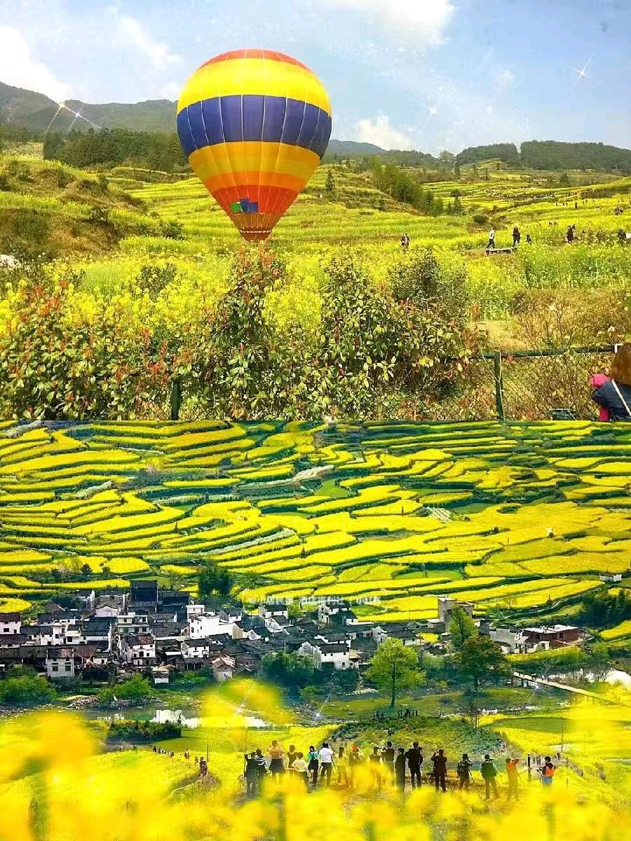 【荣耀中国】面对春天 我无以言表（现代诗）作者/三木子 诵读/秋风咏叹调（图5）